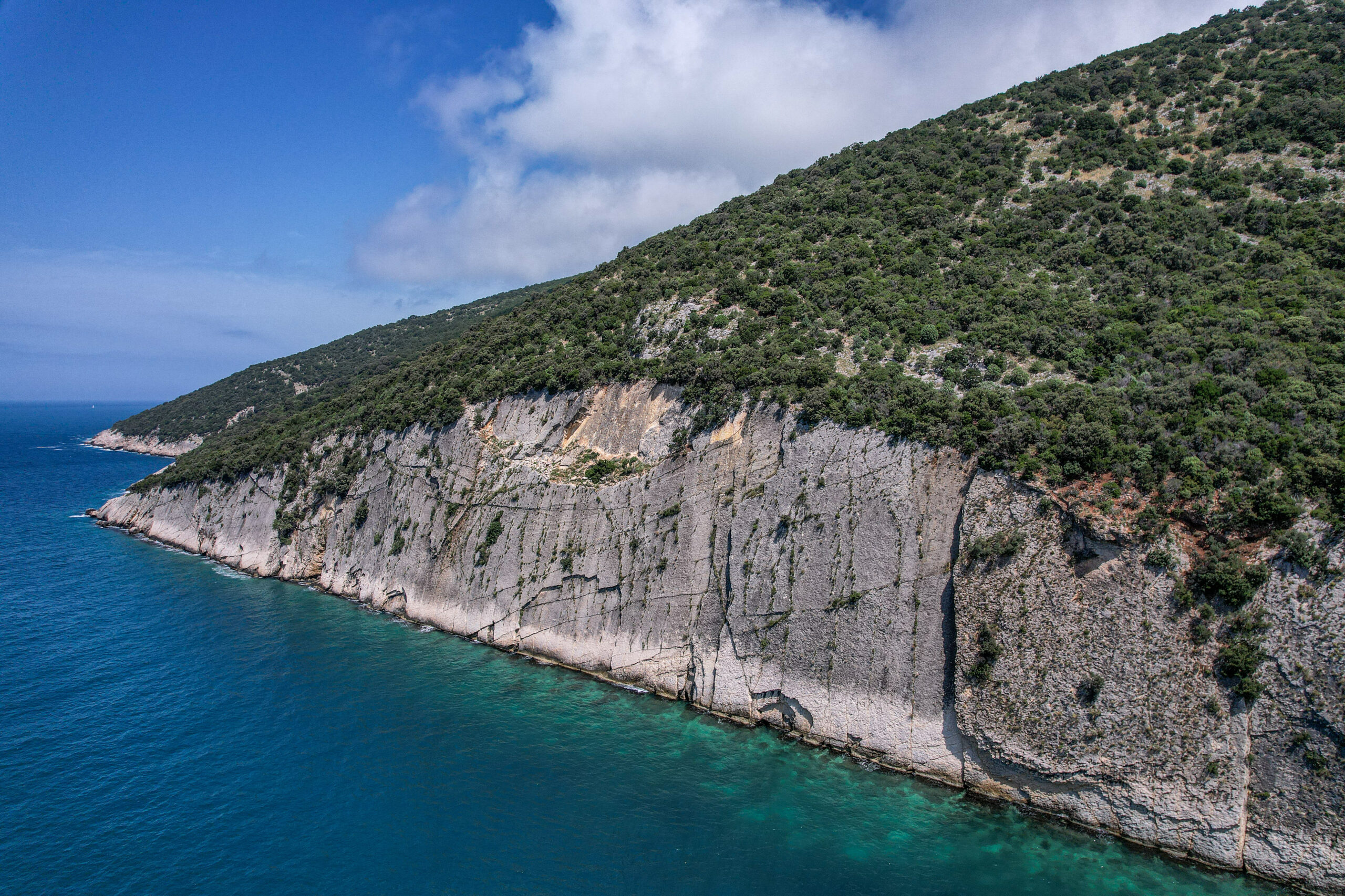 Montenegrin coast