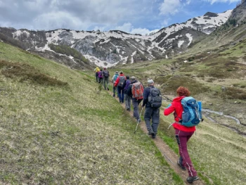 Serene nature hike showcasing diverse landscapes, from wooded trails to open vistas, capturing the essence of outdoor exploration and adventure.
