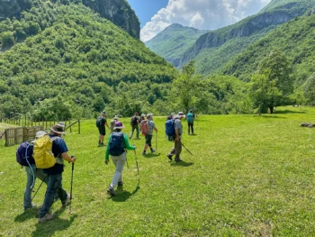 Serene nature hike showcasing diverse landscapes, from wooded trails to open vistas, capturing the essence of outdoor exploration and adventure.