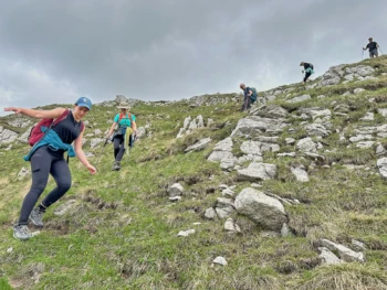 Serene nature hike showcasing diverse landscapes, from wooded trails to open vistas, capturing the essence of outdoor exploration and adventure.