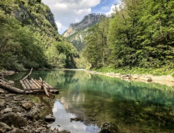 Wood Rafting