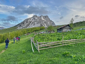 Serene nature hike showcasing diverse landscapes, from wooded trails to open vistas, capturing the essence of outdoor exploration and adventure.