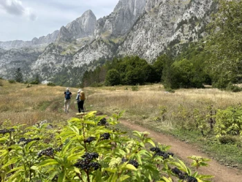 Serene nature hike showcasing diverse landscapes, from wooded trails to open vistas, capturing the essence of outdoor exploration and adventure.