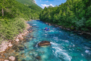 Tara rafting