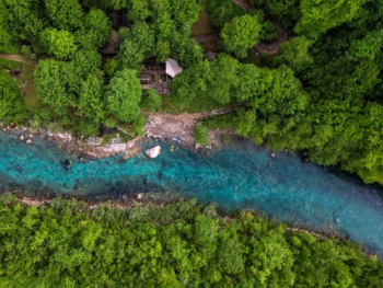 Tara river